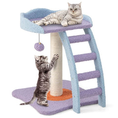 2 Storey Cat Tree with Ladder