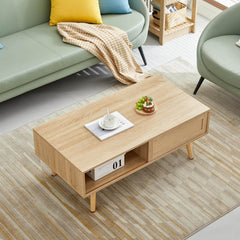 41.3 Inch Rattan Coffee Table with Sliding Door